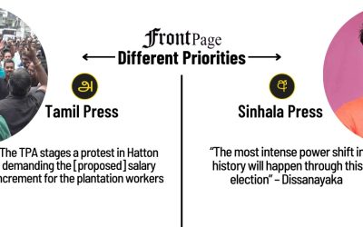 29 July 2024 | Vol. 10, #136