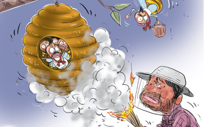 January 20, 2025 – January 26, 2025