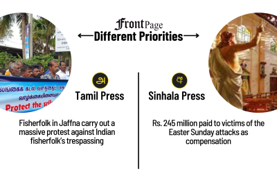 28 February 2025 | Vol. 11, #36