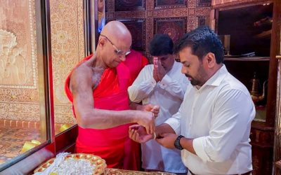 Confidence in government strong and steady 