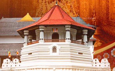 Dalada Vandanawa: A political milestone for the president