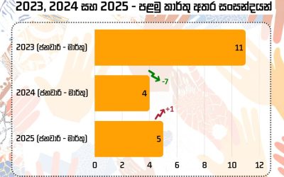 අදාළ නොවන සන්දර්භයන් තුළ වාර්ගිකත්වය ඉස්මතු නොකරමු!