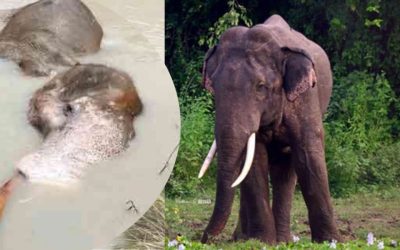 The death of Bhathiya: A symbol of systemic neglect