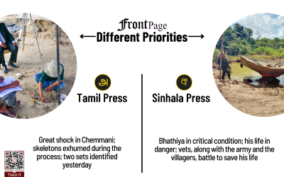 7 July 2025 | Vol. 11, #116