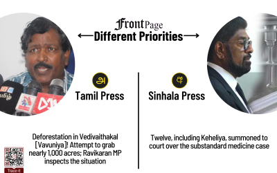 8 July 2025 | Vol. 11, #117