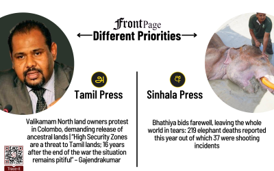 16 July 2025 | Vol. 11, #122