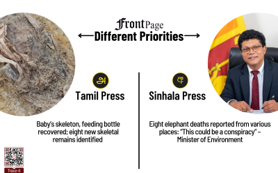 23 July 2025 | Vol. 11, #127