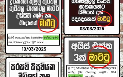 මාට්ටු මාධ්‍යට උචිත ද?