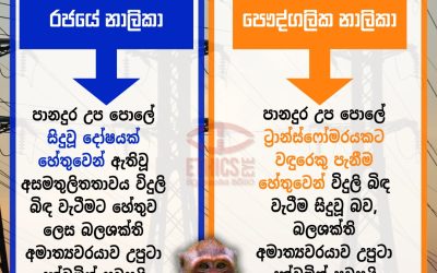 විදුලිය බිඳ වැටීමට හේතුව වඳුරෙක්ද?