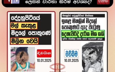 මරණයක් හැඟීම් කළඹවන සුළු ලෙසින් වාර්තා කිරීම අවශ්‍යද?