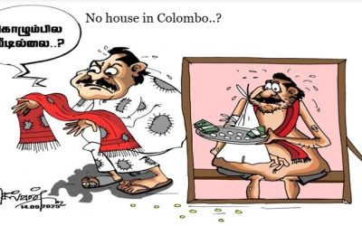 September 15, 2025 – September 21, 2025