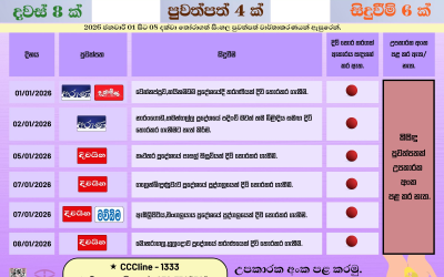 දිවි තොර කර ගැනීම් වගකීමෙන් වාර්තා කරමු!