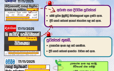 ඝාතන-දිවි තොර කර ගැනීම් වගකීම් සහගතව වාර්තා කරමු!