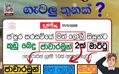 එකම සිරස්තලයක ගැටල්‍ය් තුනක්?