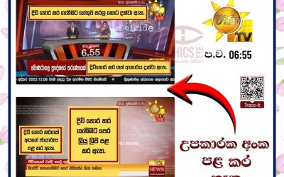 දිවි තොර කර ගැනීම් වගකීමෙන් වාර්තා කරමු!