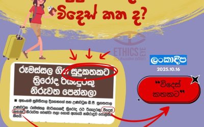 සුදු කත ද? විදෙස් කත ද?