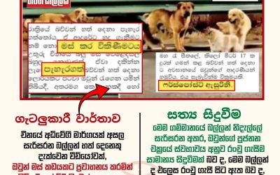 අන්තර්ජාලය පුරා පැතිරෙන AI නිර්මාණ සහ අසත්ය තොරතුරු දාමයන් හමුවේ අප සැමවිටම විමසිලිමත් වෙමු!