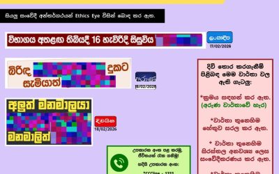 පුවත් 3ක්. ගැටලු කිහිපයක්.