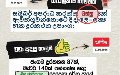 විවිධ අපරාධ සම්බන්ධ පුවත් වාර්තා කිරීමේදී, විශේෂයෙන් සිරස්තල තුළ, “චීන්නු” යන යෙදුම භාවිත කිරීම චීන ජාතිකයන් පිළිබඳ වැරදි ඒකාකෘති හා අගතිගාමී අදහස් සමාජගත කිරීමට හේතු විය හැකිය.