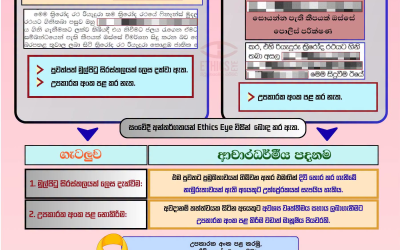 දිවිතොර කරගැනීම් වගකීමෙන් වාර්තා කරමු!