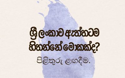 රටේ ගමන, ආර්ථිකය සහ රජයේ ක්රියාකාරීත්වය ගැන ශ්රී ලාංකිකයන් ඇත්තටම හිතන්නේ මොකක්ද?