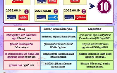 දිවි තොර කරගැනීම් වගකීමෙන් වාර්තා කරමු!