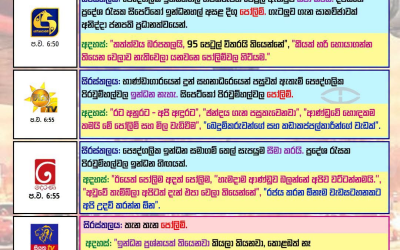 පෞද්ගලික පිරවුම්හල්වල පෙට්‍රල් හිඟය හා තදබදය: රූපවාහිනී නාලිකා අදහස් දැක්වූවන්ගේ මත ඉදිරිපත් කළ ආකාරය